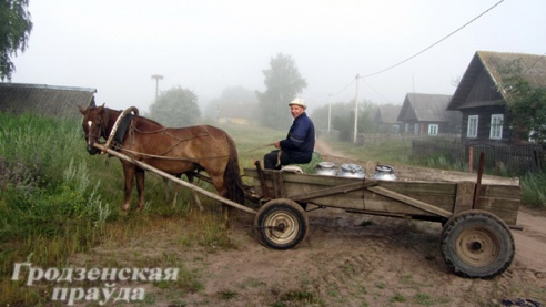 Студенты-историки из ГрГУ провели раскопки в Щучинском районе (ФОТО)