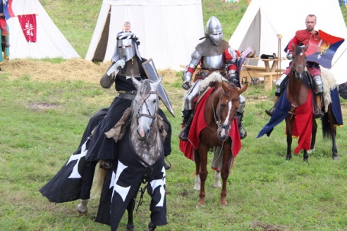 Прошел фестиваль средневековой культуры «Гольшанский замок-2013» (ФОТО)