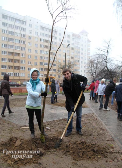 В Гродно во время городского субботника высадили более тысячи деревьев (ФОТО)