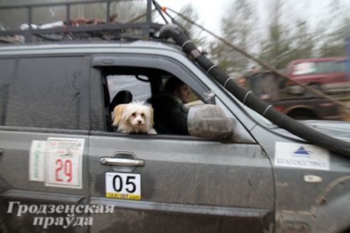 Фоторепортаж: под Гродно прошли гонки по бездорожью