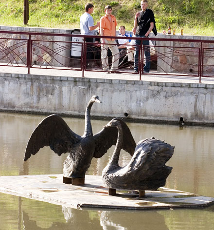 Миндаль, магнолия, тюльпановое дерево: в Коложском парке высадят экзотические деревья