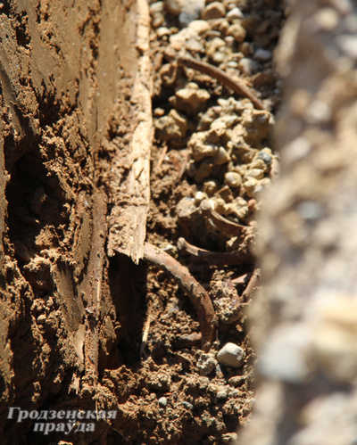 Захоронение немецких солдат обнаружено на улице Лидской в Гродно