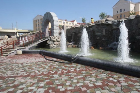 Миндаль, магнолия, тюльпановое дерево: в Коложском парке высадят экзотические деревья