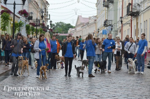 Собачье «дефиле» в Гродно собрало более 4 млн рублей