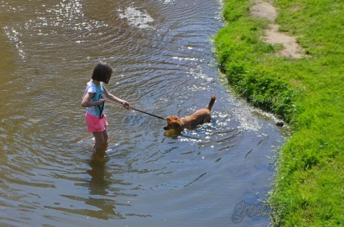 Жара в городе: гродненцы спасаются, как могут (ФОТОРЕПОРТАЖ)