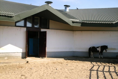 Гродненский зоопарк обвинили в жестоком обращении с животными