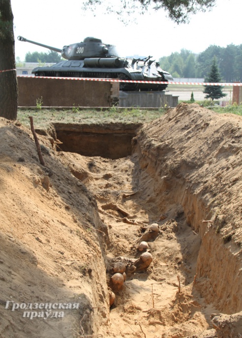 На территории военного городка Фолюш снова найдены останки солдат (ФОТО)