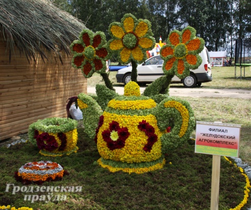 Фестываль кветак адбыўся ў Жалудку