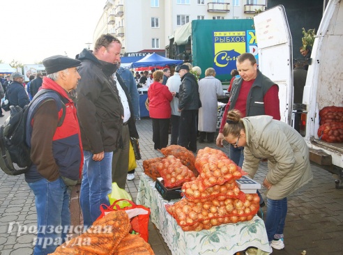 Фоторепортаж: как гродненцы запасались овощами на зиму