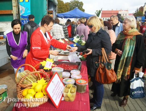 Фоторепортаж: как гродненцы запасались овощами на зиму