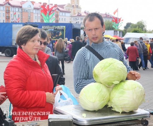 Фоторепортаж: как гродненцы запасались овощами на зиму