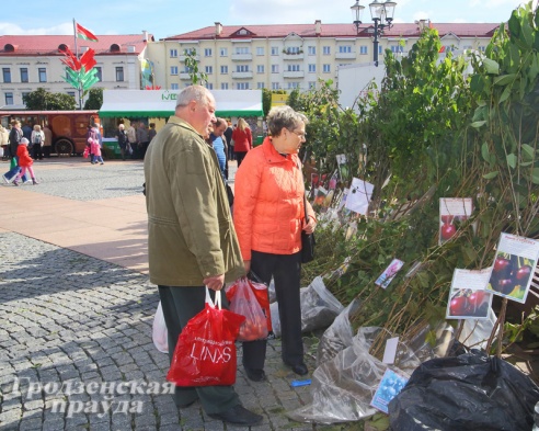 Фоторепортаж: как гродненцы запасались овощами на зиму