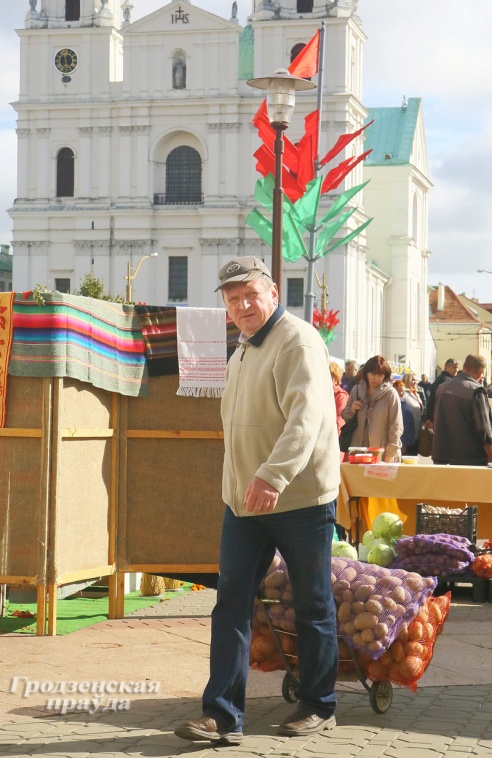 Фоторепортаж: как гродненцы запасались овощами на зиму