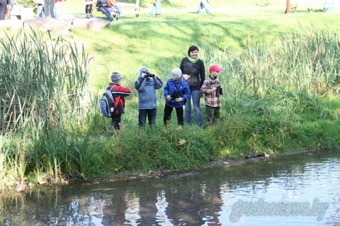 Гродненцы наблюдали за птицами в подзорную трубу (ФОТО)