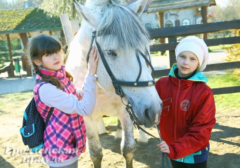В Коробчицах появился конный лагерь для детей