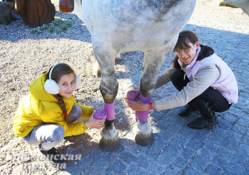 В Коробчицах появился конный лагерь для детей