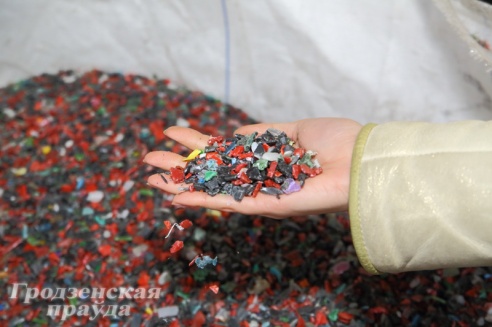 Сколько ПЭТ-бутылок выбрасывают гродненцы?