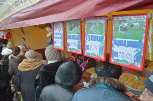 Фоторепортаж: «Мясны кірмаш» прошел в Гродно