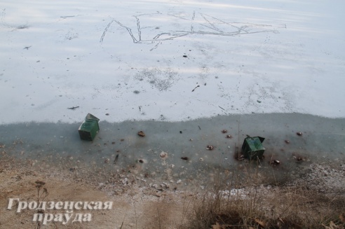 На новой велотропе в Пышках вандалы подожгли беседку