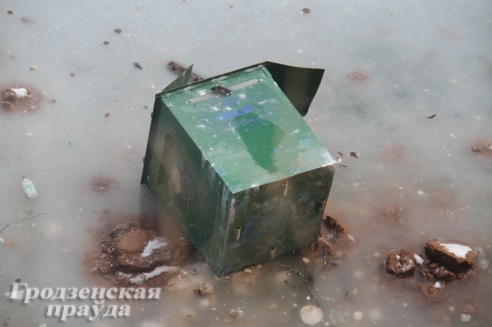 На новой велотропе в Пышках вандалы подожгли беседку