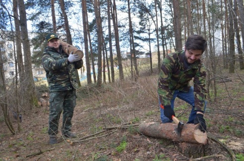 В лесном массиве на улице Томина в Гродно наведут порядок