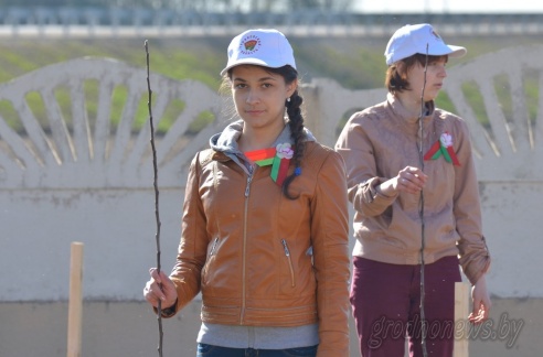 70 молодых яблонек высадили в Гродненском районе в честь 70-летия Великой Победы