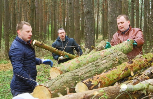 Сегодня на Гродненщине проходит субботник (ОБНОВЛЕНО)