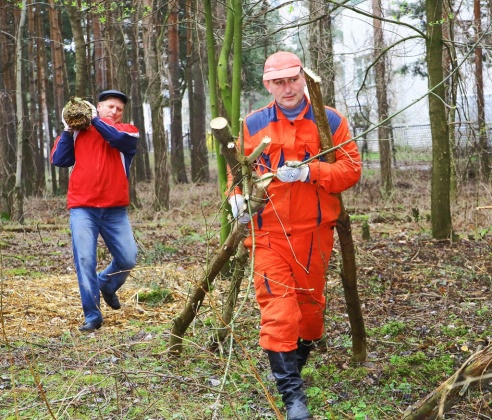 Сегодня на Гродненщине проходит субботник (ОБНОВЛЕНО)