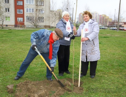 Сегодня на Гродненщине проходит субботник (ОБНОВЛЕНО)