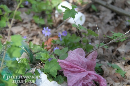 Журналисты «ГП» на себе испытали новый веломаршрут «Меловые горы»