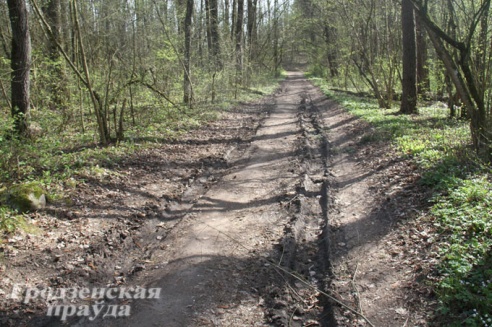 Журналисты «ГП» на себе испытали новый веломаршрут «Меловые горы»