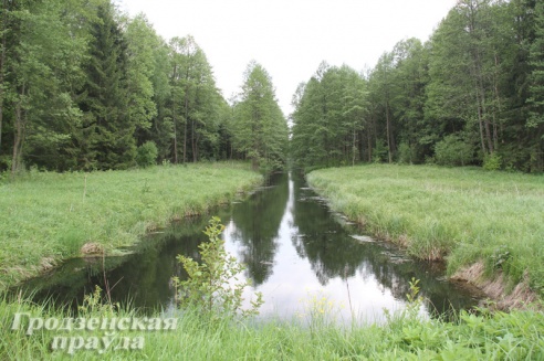 Испытано на себе: верхом на квадрациклах