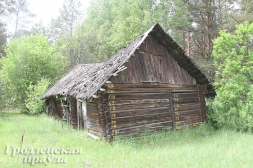 Испытано на себе: верхом на квадрациклах