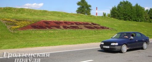 Около миллиона цветов украсят Гродно нынешним летом