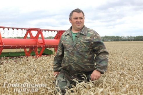 Аграрии области убрали около половины посевных площадей зерновых и зернобобовых культур