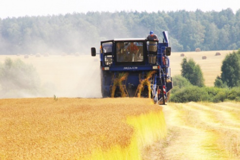 «Самое главное в сельском хозяйстве — доведенная до ума технология», — вице-премьер Михаил Русый посетил льняную страду ОАО «Кореличи-Лен»