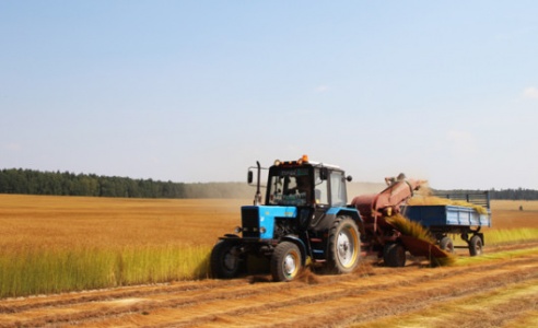 «Самое главное в сельском хозяйстве — доведенная до ума технология», — вице-премьер Михаил Русый посетил льняную страду ОАО «Кореличи-Лен»