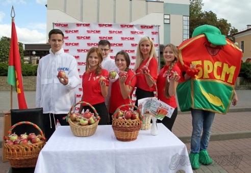 Активисты БРСМ раздавали на улицах Гродно яблоки
