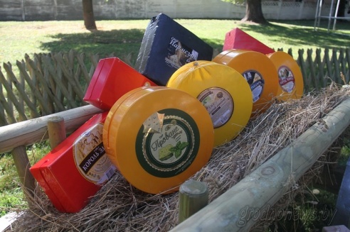 Фестиваль сыра прошел в Гродно