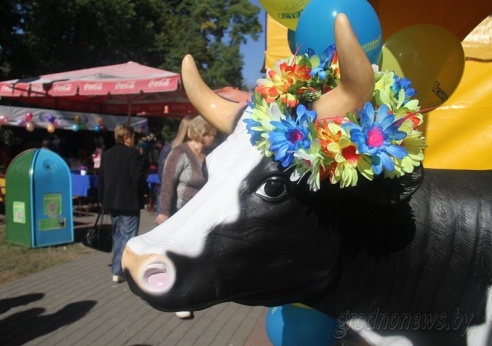 Фестиваль сыра прошел в Гродно