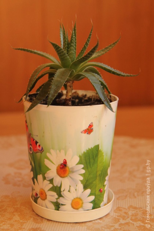 Мобильная группа облисполкома побывала в Калинковичском районе