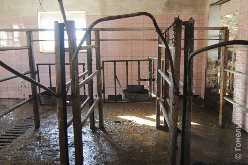 Мобильная группа облисполкома побывала в Калинковичском районе