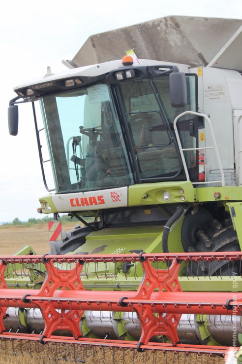 На Гомельщине появились первые тысячники