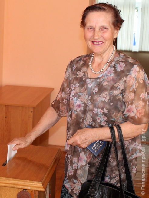 Выборы в Мозыре