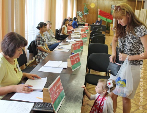 Выборы в Мозыре