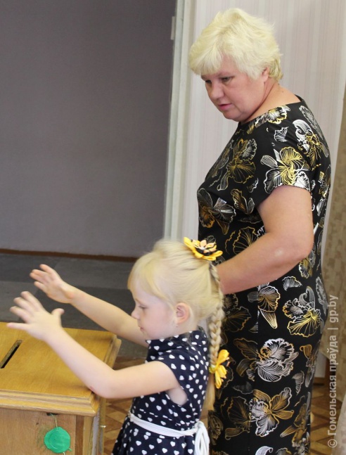 Выборы в Мозыре