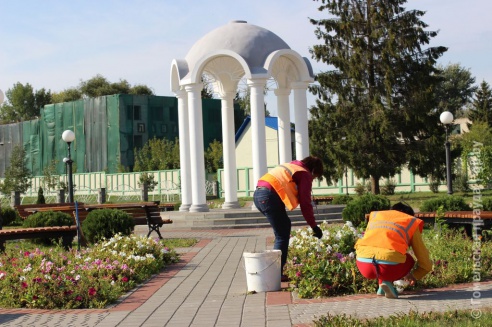 Один день в Хойникском районе