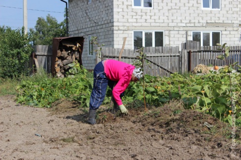 Один день в Хойникском районе