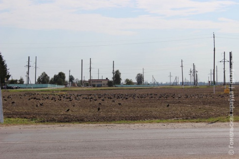 Один день в Хойникском районе