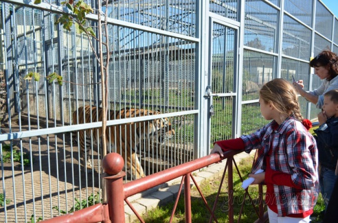 Гродно отметил 888-летие